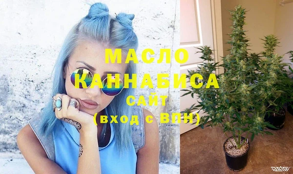 твердый Тавда