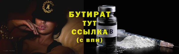 шишки Беломорск
