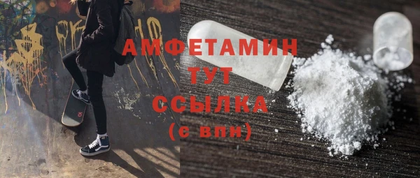 шишки Беломорск