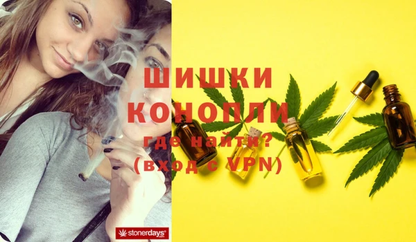 твердый Тавда