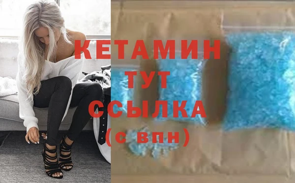 шишки Беломорск